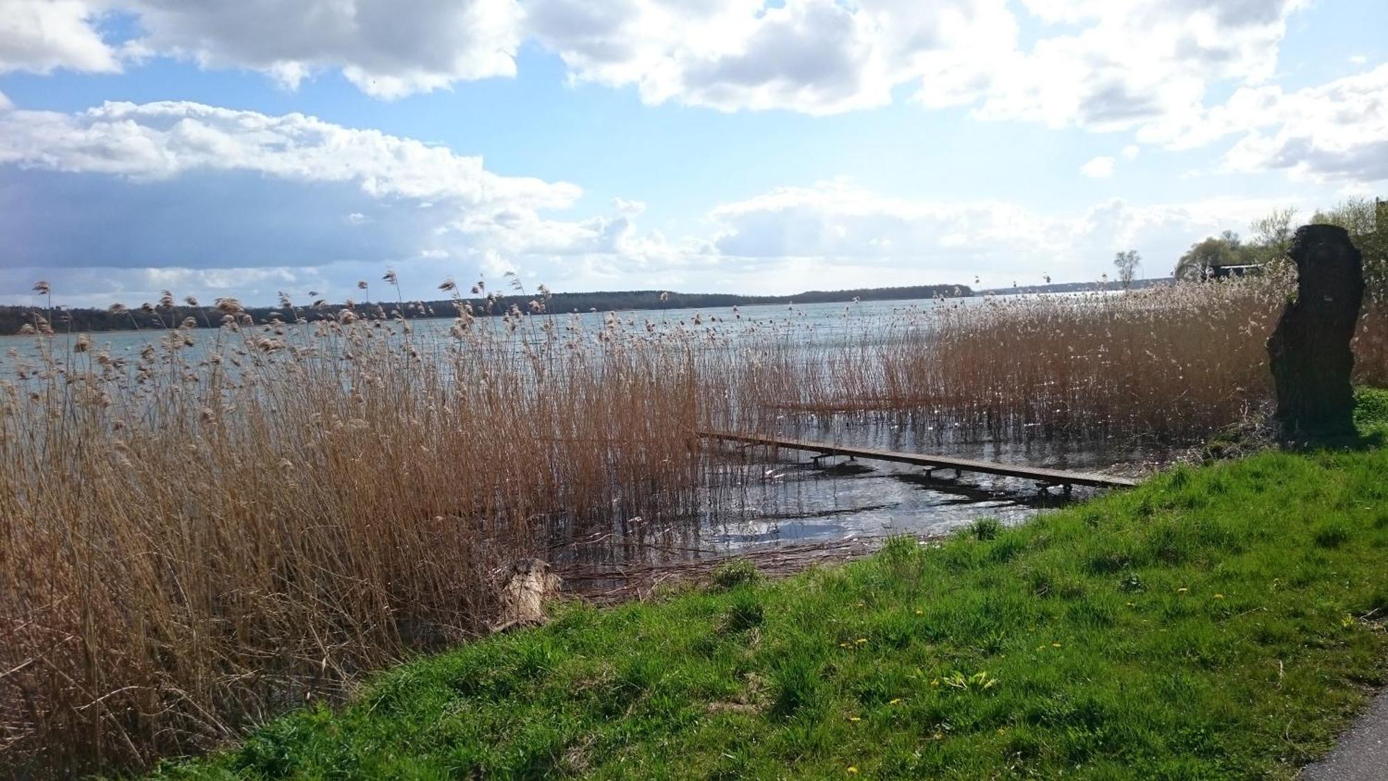 Idyll Im Land Der 1000 Seen Liessow  Εξωτερικό φωτογραφία